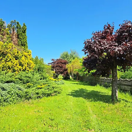 Brzozowy Zakatek Vakantiehuis Bochnia