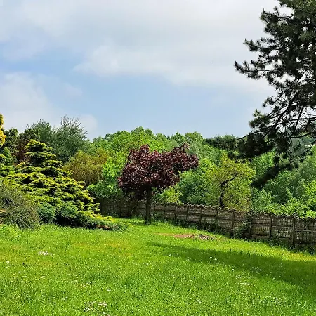 Brzozowy Zakatek Vakantiehuis Bochnia