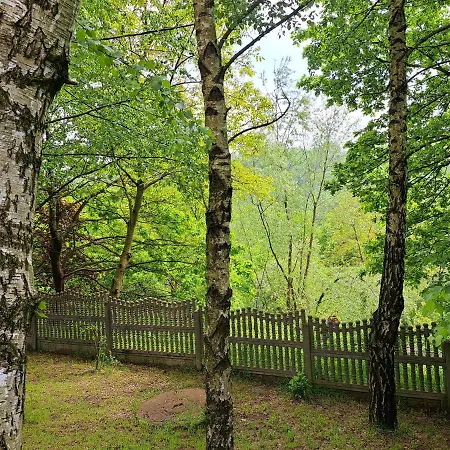 Brzozowy Zakatek *