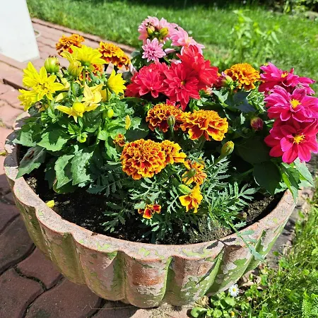 Brzozowy Zakatek Vakantiehuis Bochnia