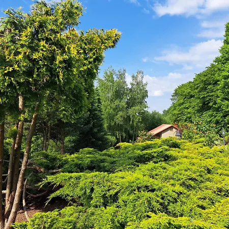 Brzozowy Zakatek Bochnia