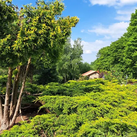 Brzozowy Zakatek Bochnia