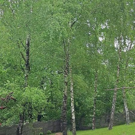 Brzozowy Zakatek Bochnia