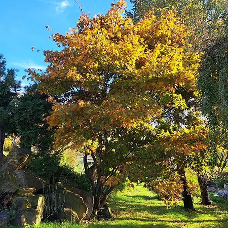 Brzozowy Zakatek Vakantiehuis *