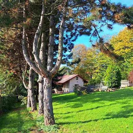 Brzozowy Zakatek * Bochnia