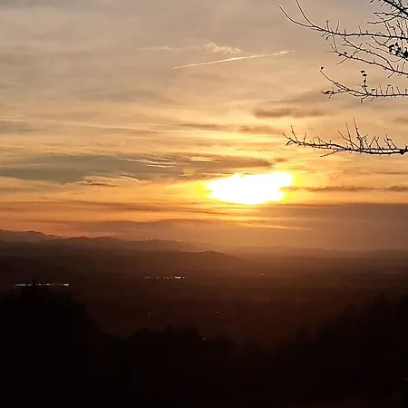 Brzozowy Zakatek Vakantiehuis Bochnia