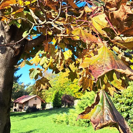 Vakantiehuis Brzozowy Zakatek
