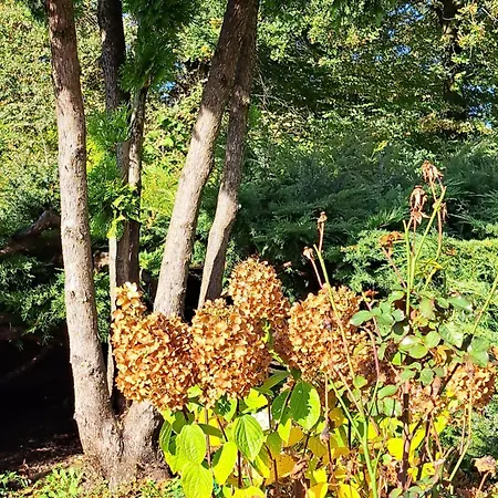 Vakantiehuis Brzozowy Zakatek