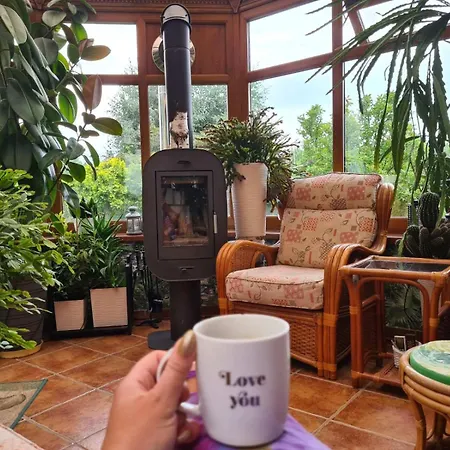 Brzozowy Zakatek Bochnia