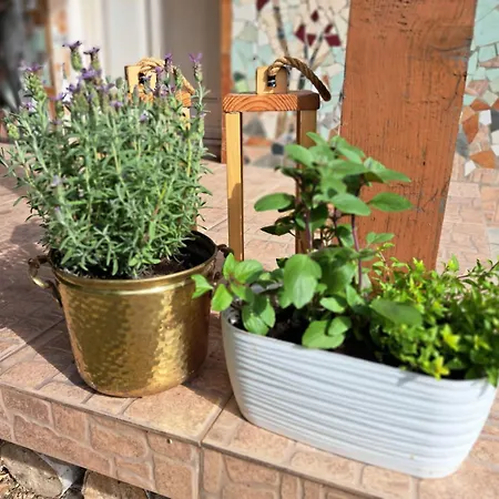 Vakantiehuis Brzozowy Zakatek *