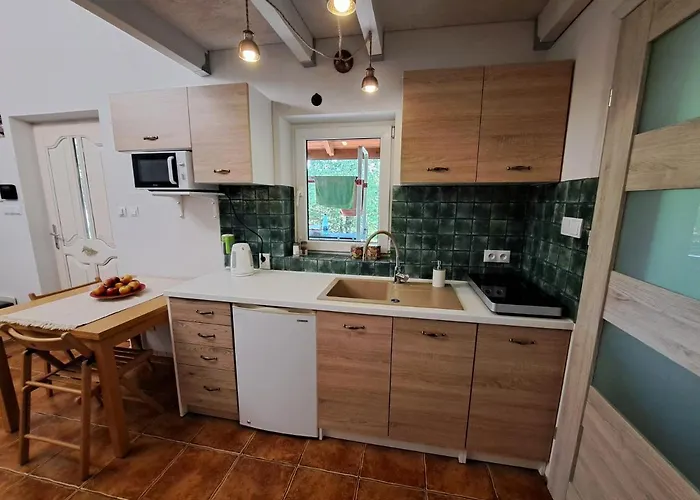 Ferienhaus Brzozowy Zakatek