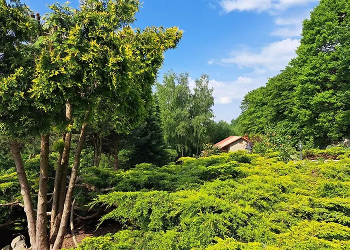 Brzozowy Zakatek Salzberg