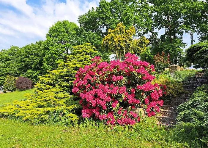 Brzozowy Zakatek Ferienhaus Salzberg
