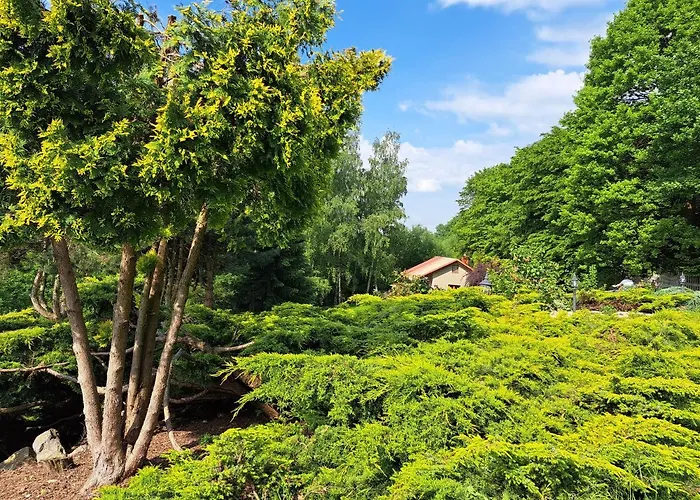 Brzozowy Zakatek Salzberg