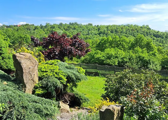 Brzozowy Zakatek * Salzberg