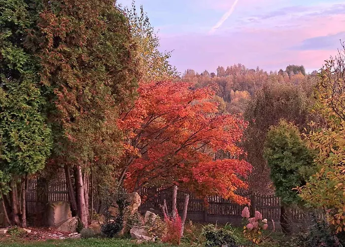 Brzozowy Zakatek Ferienhaus
