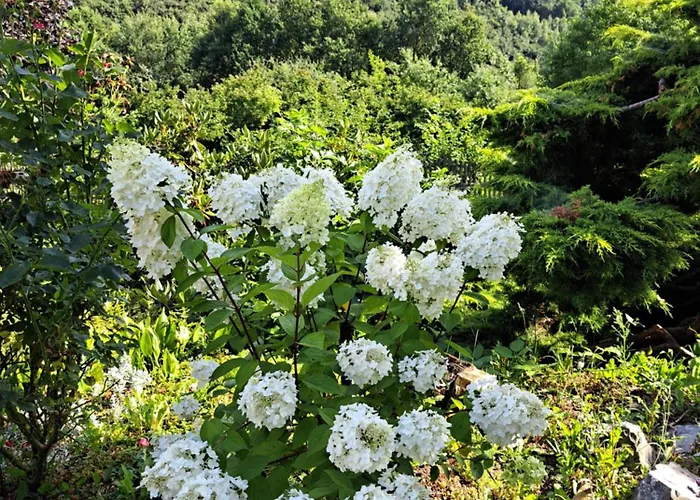 Brzozowy Zakatek Ferienhaus